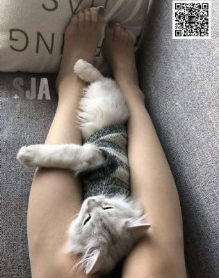生化危机1_720日韩电影在线