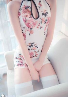 雪鹰电视剧全集免费观看_720完整版观看